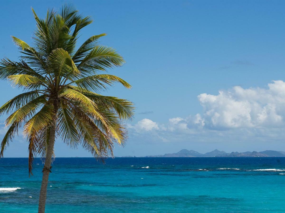 Coral Beach Club Villas & Marina Sint Maarten Exterior foto